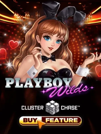 MBET Playboy Wilds