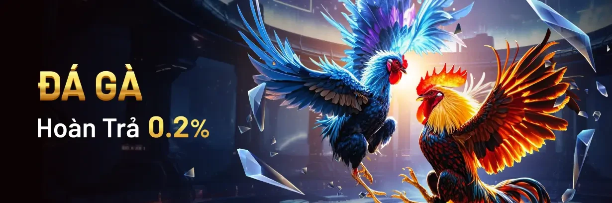 MBET Chơi Đá Gà tại MBET, nhận hoàn trả không giới hạn lên đến 0.2%.