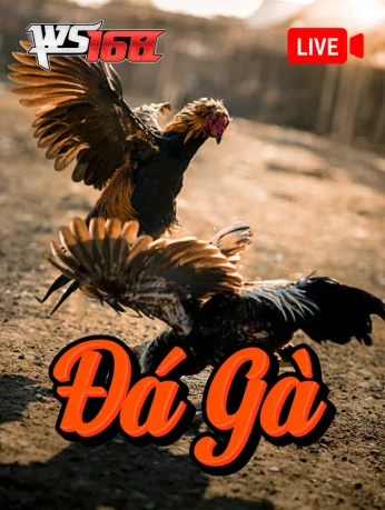 MBET Đá Gà Livestream