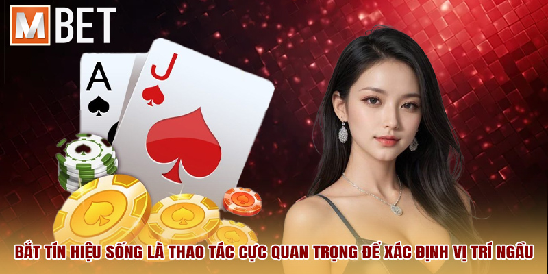 Bắt tín hiệu sống là thao tác cực quan trọng để xác định vị trí ngầu